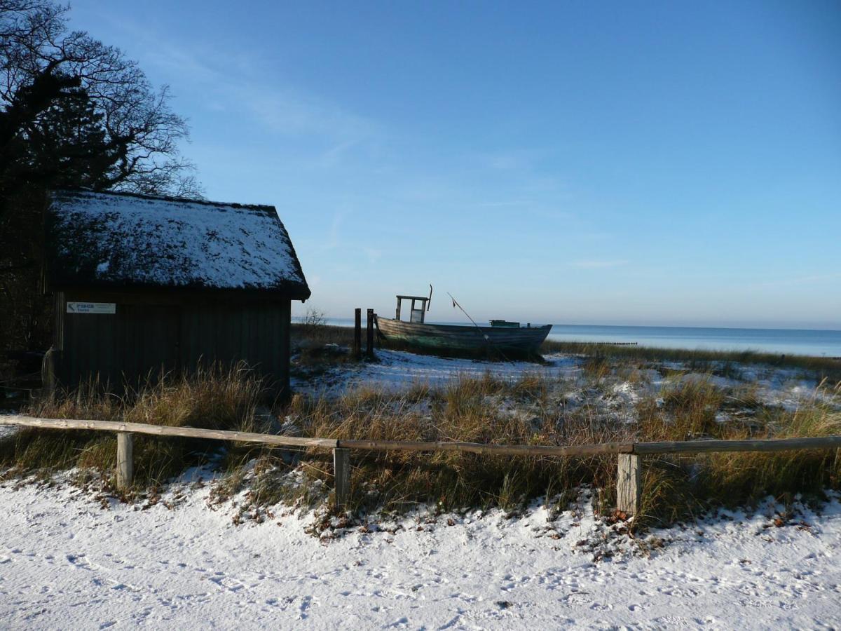 Residenz Am Strand Wohnung 2-36 Zingst Exteriér fotografie
